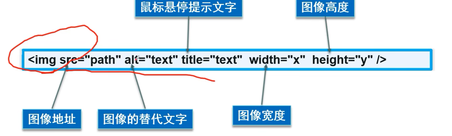 image-20241225093811825